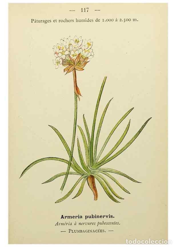 Sammeln von Zeitschriften und Zeitungen: Reproducci&oacute;n/Reproduction 49345333026: Nouvelle flore colori&eacute;e de poche des Alpes et des Pyr&eacute;n&eacute;es..