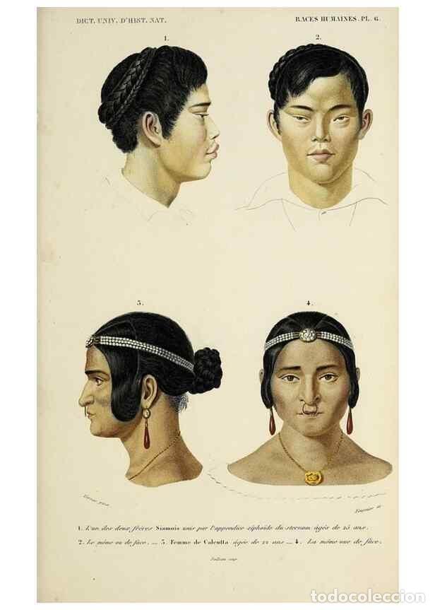 Sammeln von Zeitschriften und Zeitungen: Reproducci&oacute;n/Reproduction 49724351527: Dictionnaire universel d'histoire naturelle :. Paris :Chez le