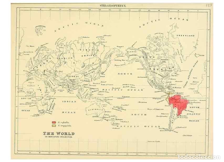 Sammeln von Zeitschriften und Zeitungen: Reproducci&oacute;n/Reproduction 49522132513: A monograph of the Hirundinidae or family of swallows. London