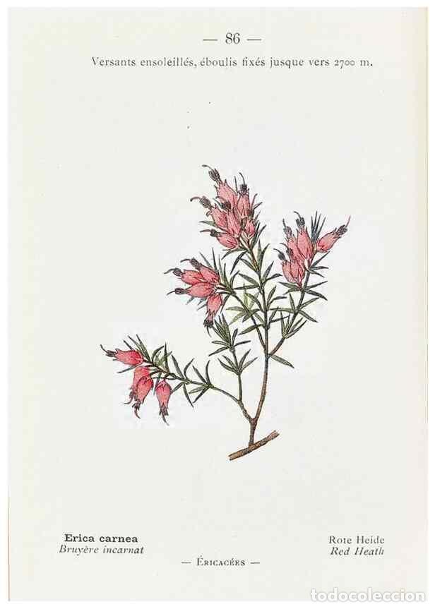 Sammeln von Zeitschriften und Zeitungen: Reproducci&oacute;n/Reproduction 49345753522: Nouvelle flore colori&eacute;e de poche des Alpes et des Pyr&eacute;n&eacute;es..