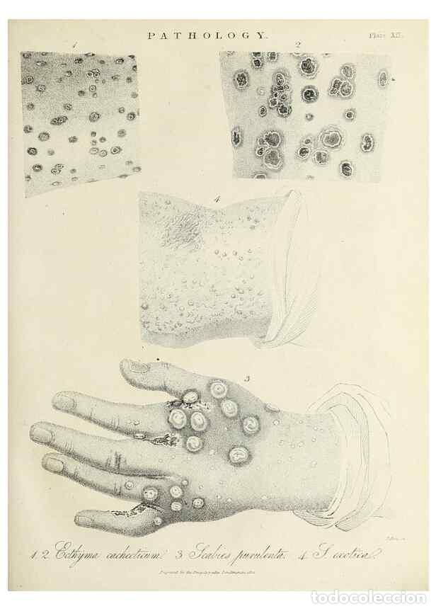 Colecionismo de Revistas e Jornais: Reproducci&oacute;n/Reproduction 49756643153: Encyclopaedia londinensis, or, Universal dictionary of arts,