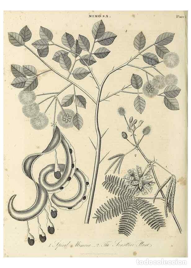 Colecionismo de Revistas e Jornais: Reproducci&oacute;n/Reproduction 49756320988: Encyclopaedia londinensis, or, Universal dictionary of arts,