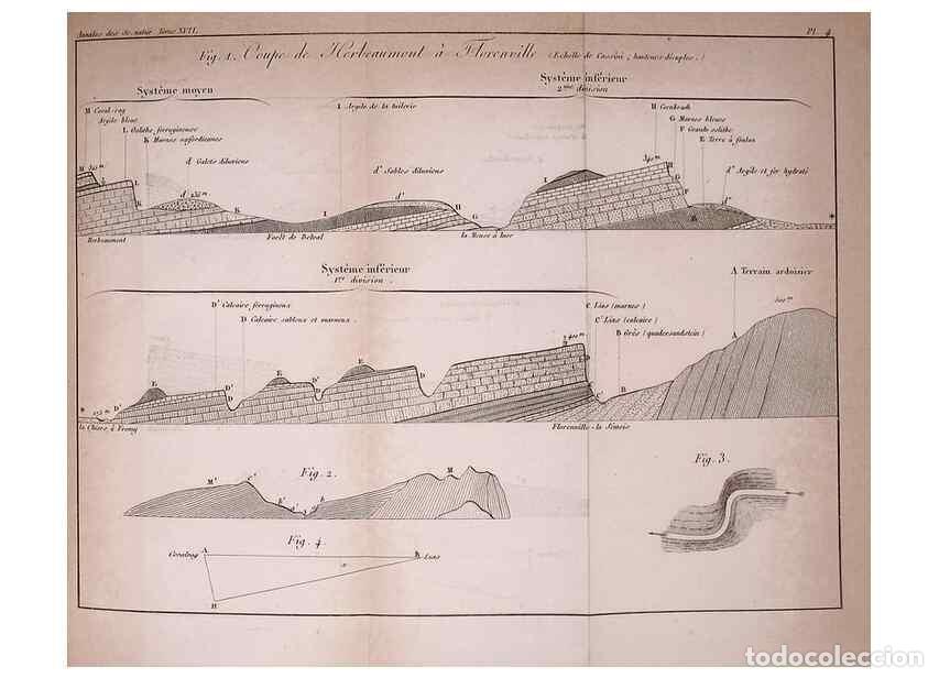 Colecionismo de Revistas e Jornais: Reproducci&oacute;n/Reproduction 49773612853: Annales des sciences naturelles :. Paris :Crochard. - Feuguer