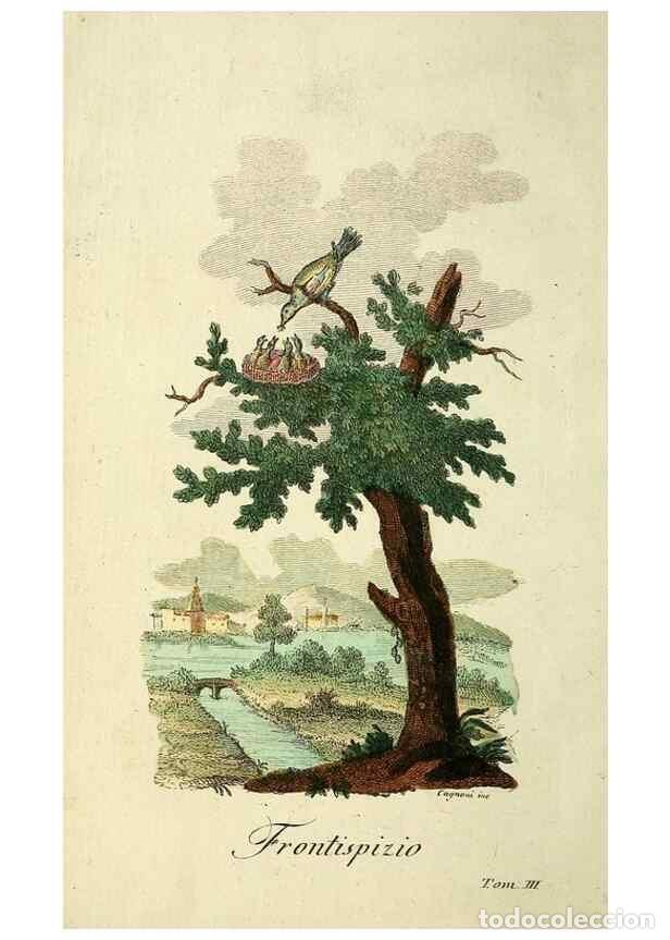 Coleccionismo de Revistas y Peri&oacute;dicos: Reproducci&oacute;n/Reproduction 49742572866: Il gabinetto del giovane naturalista. Milano :Presso Omobono