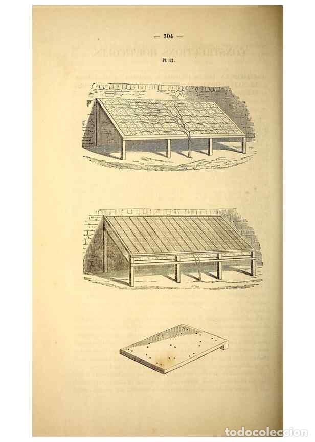 Sammeln von Zeitschriften und Zeitungen: Reproducci&oacute;n/Reproduction 49269544622: Belgique horticole.. Li&eacute;ge.. - Morren, Charles,