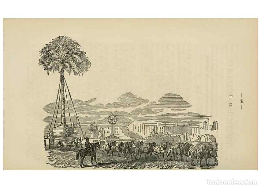 Collectionnisme de Revues et Journaux: Reproducci&oacute;n/Reproduction 49265269612: Belgique horticole.. Li&eacute;ge.. - Morren, Charles,