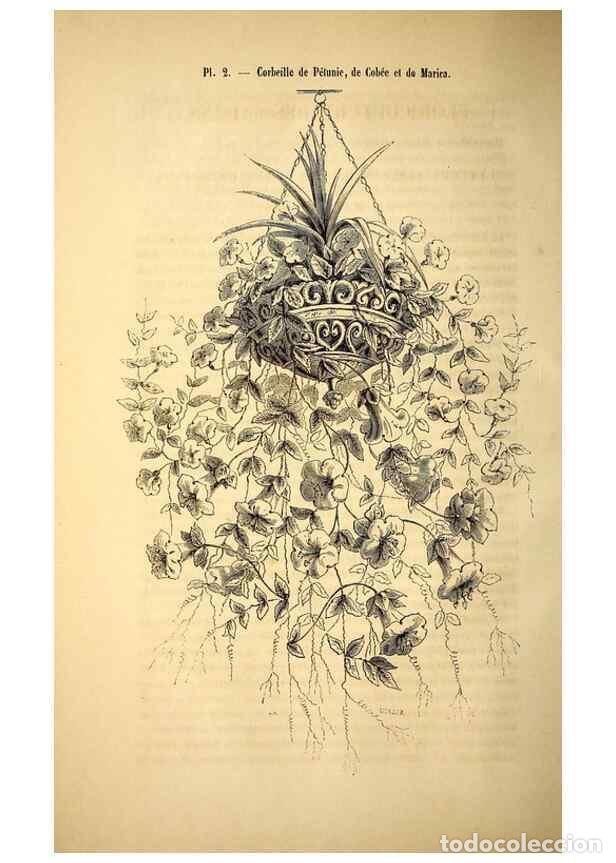 Collezionismo di Riviste e Giornali: Reproducci&oacute;n/Reproduction 49269332351: Belgique horticole.. Li&eacute;ge.. - Morren, Charles,