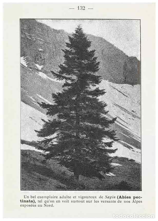 Collectionnisme de Revues et Journaux: Reproducci&oacute;n/Reproduction 49345775597: Nouvelle flore colori&eacute;e de poche des Alpes et des Pyr&eacute;n&eacute;es..