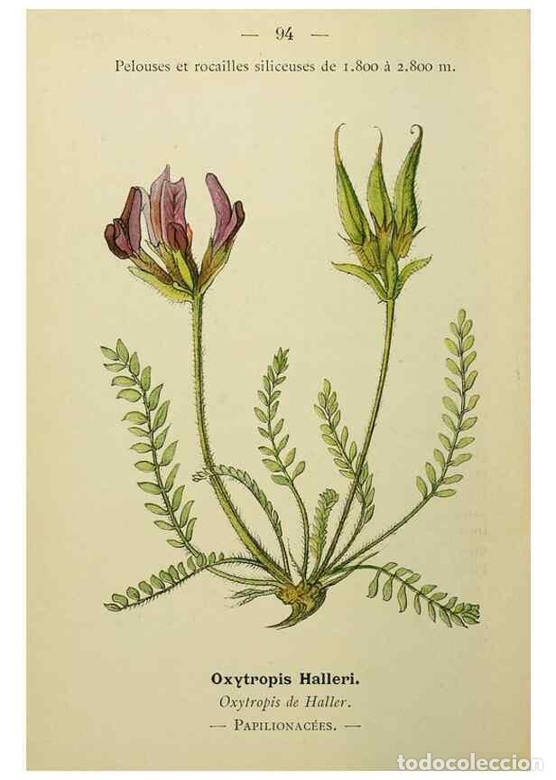 Collectionnisme de Revues et Journaux: Reproducci&oacute;n/Reproduction 49345432601: Nouvelle flore colori&eacute;e de poche des Alpes et des Pyr&eacute;n&eacute;es..