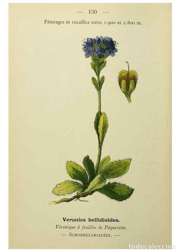 Collectionnisme de Revues et Journaux: Reproducci&oacute;n/Reproduction 49344878213: Nouvelle flore colori&eacute;e de poche des Alpes et des Pyr&eacute;n&eacute;es..