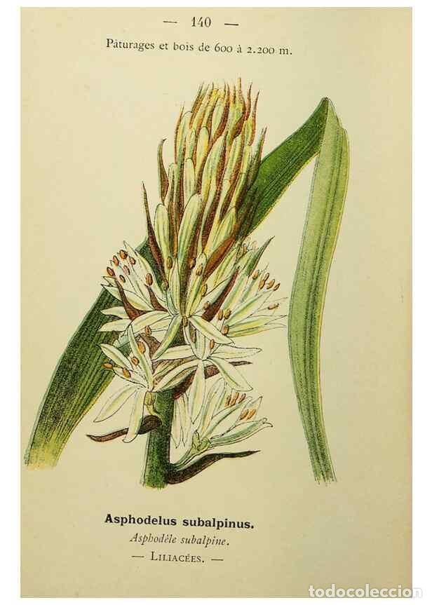 Collectionnisme de Revues et Journaux: Reproducci&oacute;n/Reproduction 49345343101: Nouvelle flore colori&eacute;e de poche des Alpes et des Pyr&eacute;n&eacute;es..