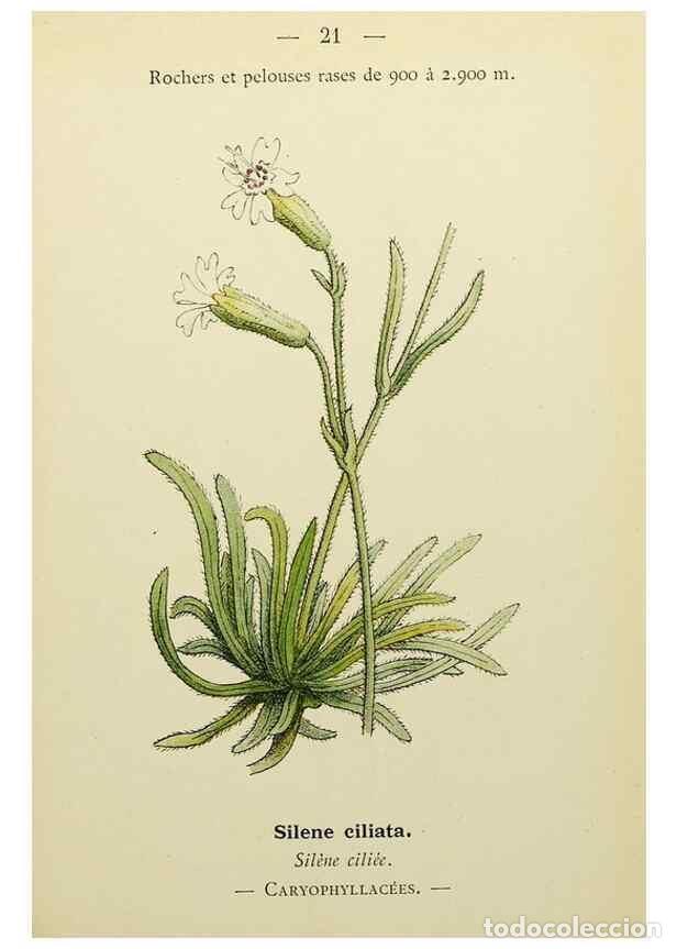 Collectionnisme de Revues et Journaux: Reproducci&oacute;n/Reproduction 49345395146: Nouvelle flore colori&eacute;e de poche des Alpes et des Pyr&eacute;n&eacute;es..