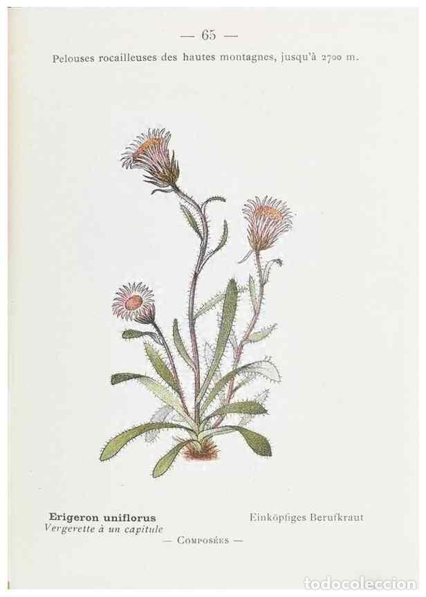 Collectionnisme de Revues et Journaux: Reproducci&oacute;n/Reproduction 49345745822: Nouvelle flore colori&eacute;e de poche des Alpes et des Pyr&eacute;n&eacute;es..