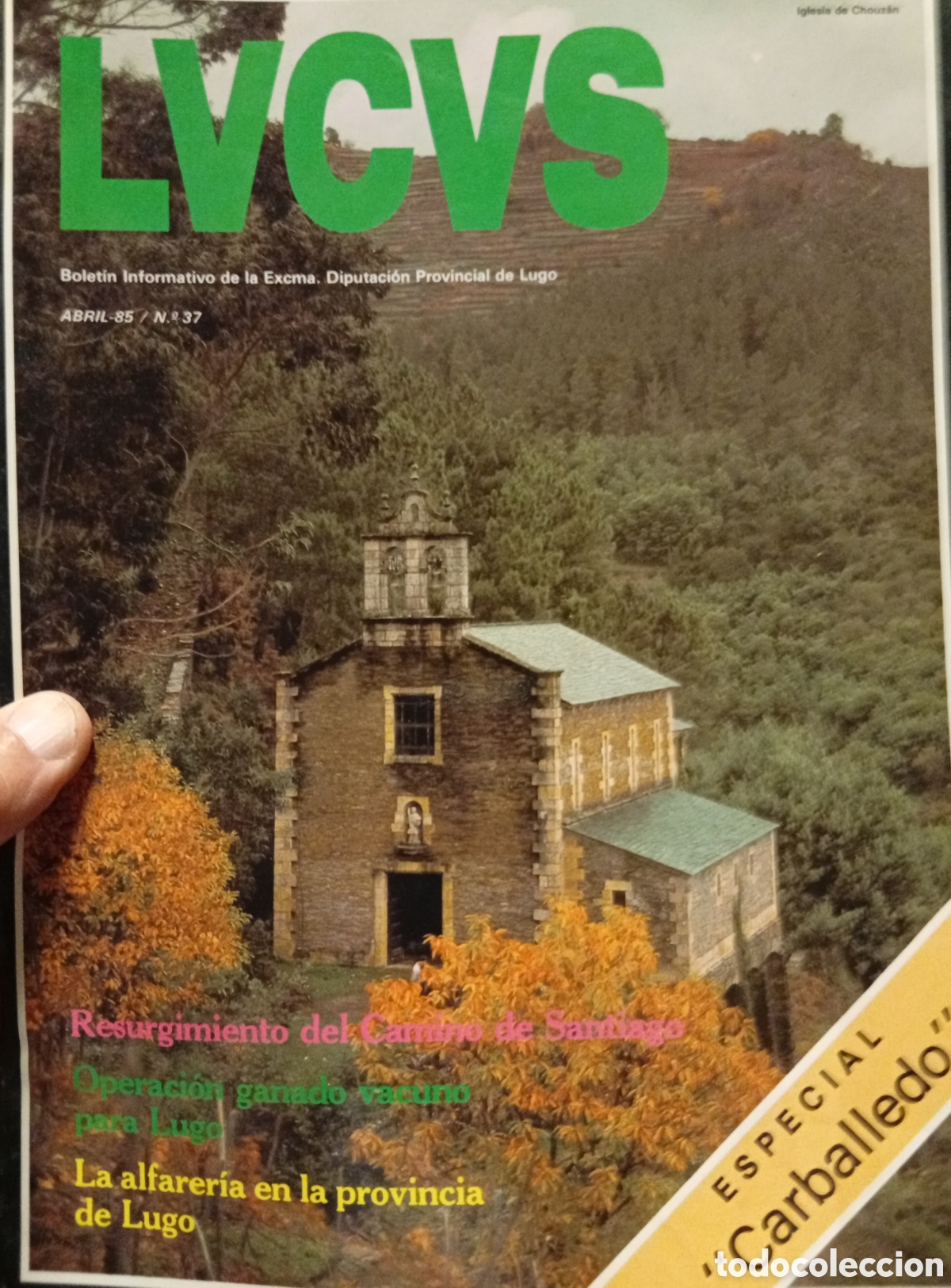 Collectionnisme de Revues et Journaux: Vieja revista bolet&iacute;n Lucus de la diputaci&oacute;n de Lugo