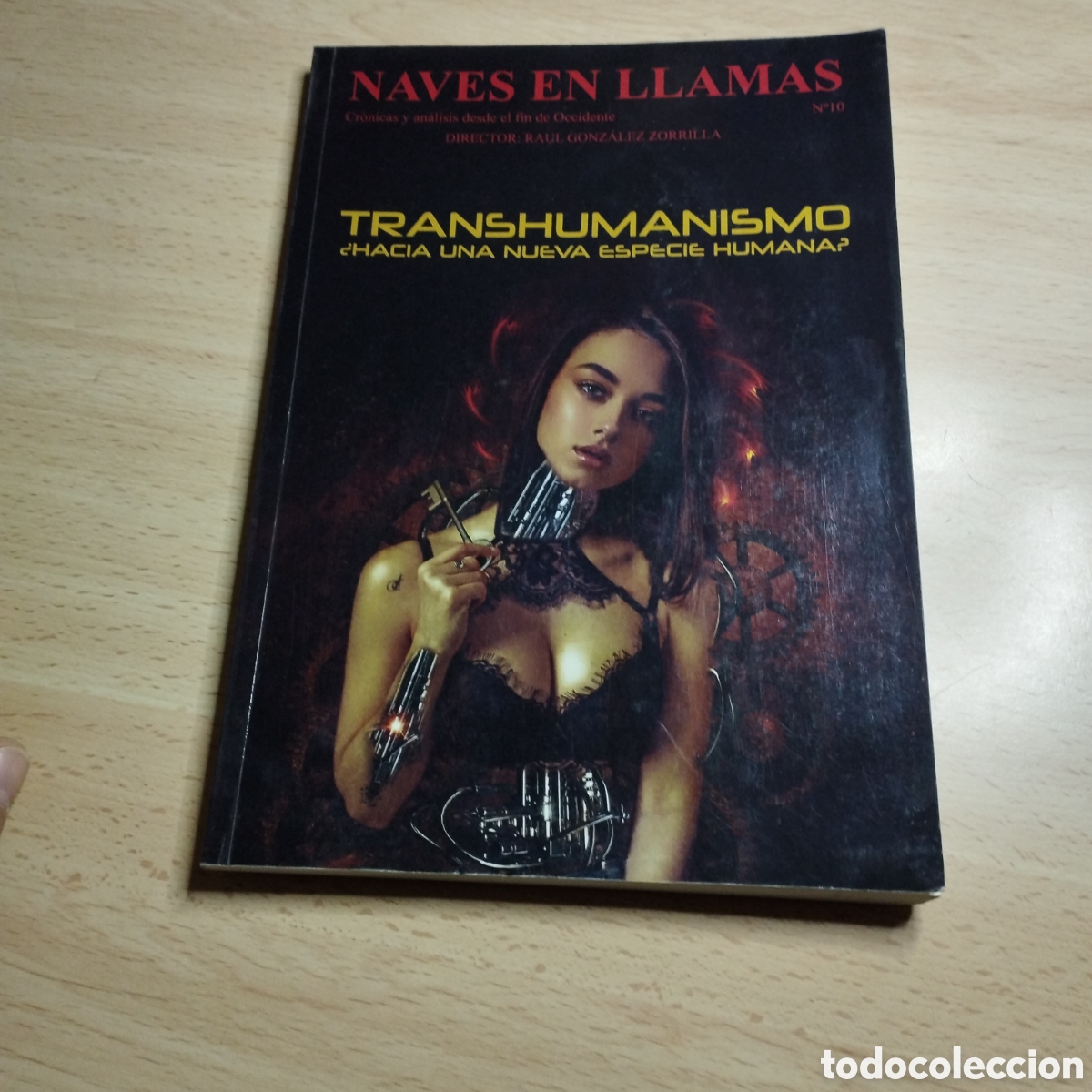 Coleccionismo de Revistas y Peri&oacute;dicos: Revista Naves en llamas N⁰10. Transhumanismo. Junio 2020. Dir: Ra&uacute;l Gonz&aacute;lez Zorrilla.