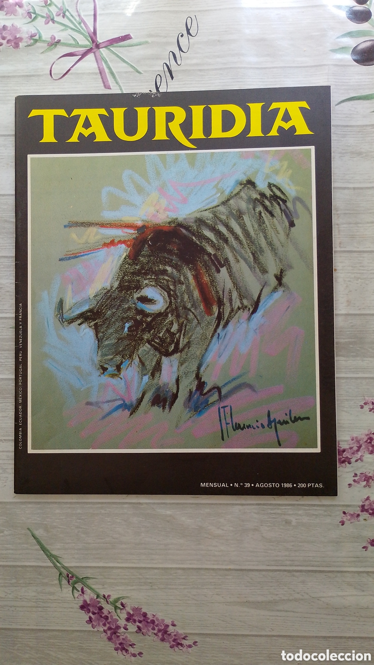 Sammeln von Zeitschriften und Zeitungen: Tauridia. Revista de tauromaquia