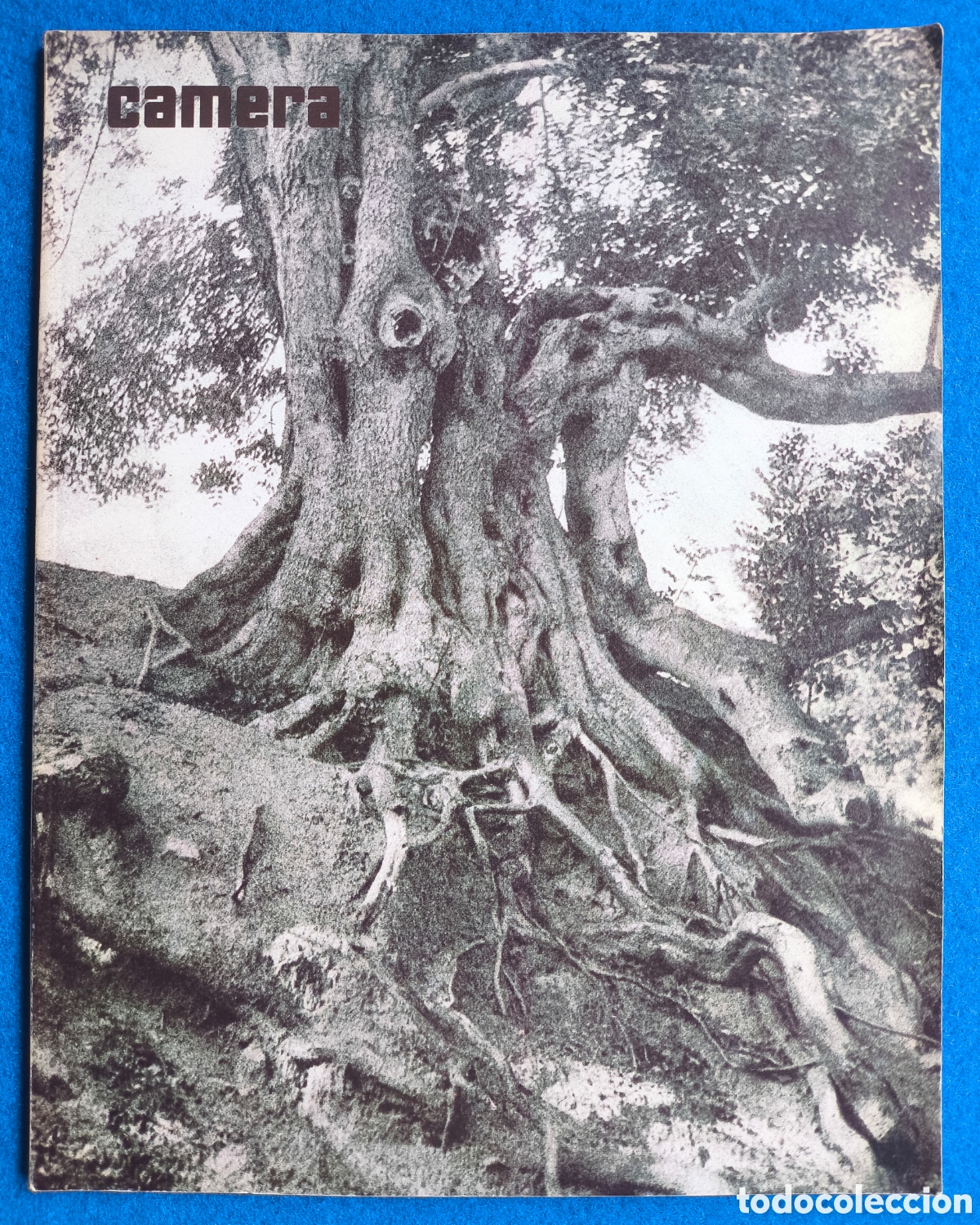 Coleccionismo de Revistas y Peri&oacute;dicos: FOTOGRAF&Iacute;A CAMERA MAGAZINE FOT&Ograve;GRAFS CATALANS PLA JANINI CAMPA&Ntilde;&Agrave; CENTELLES CATAL&Agrave; ... 1980