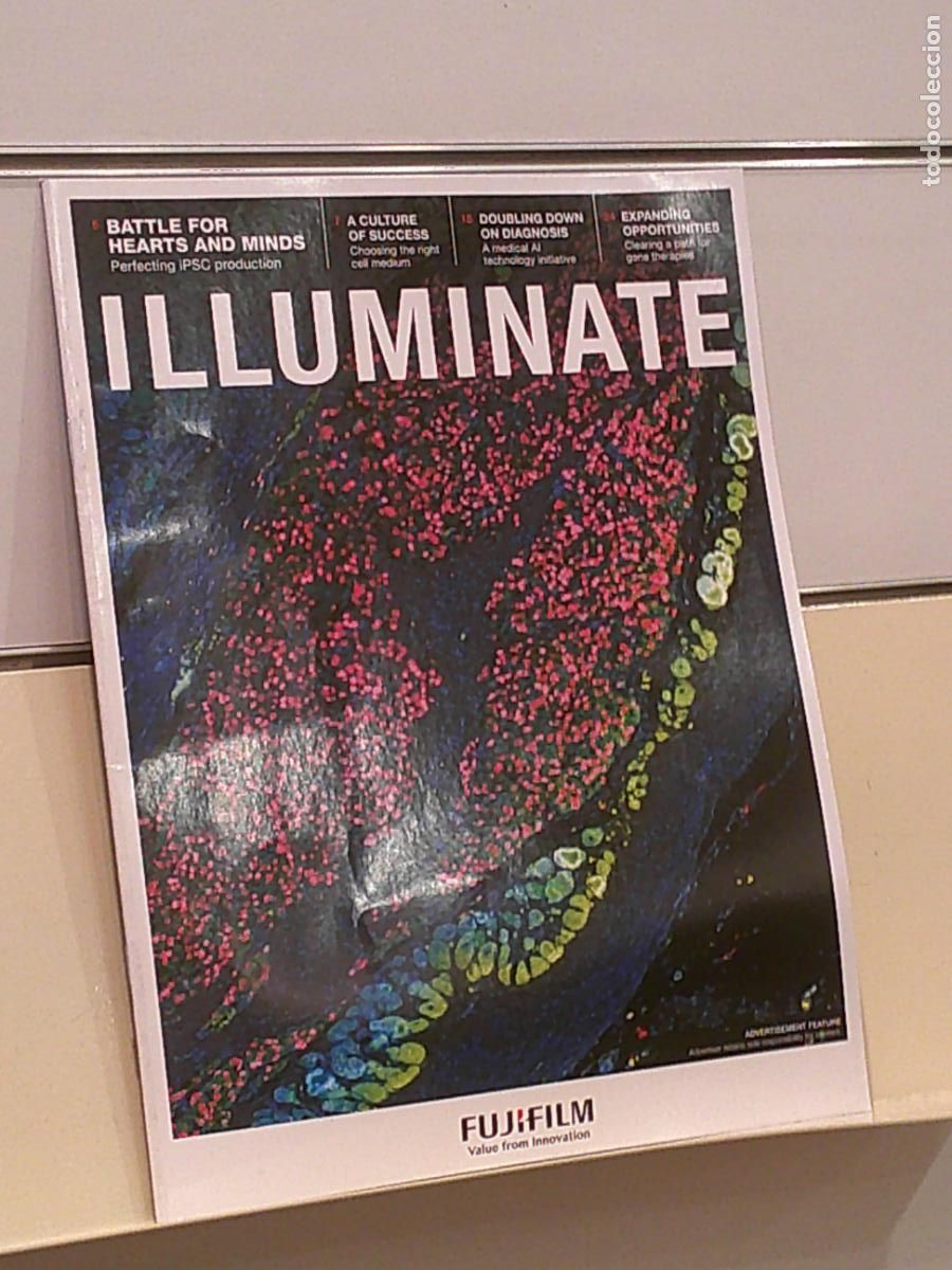 Collectionnisme de Revues et Journaux: ILLUMINATE FUJIFILM VALUE FROM INNOVATION NATURE RESEARCH OCTOBER 2020