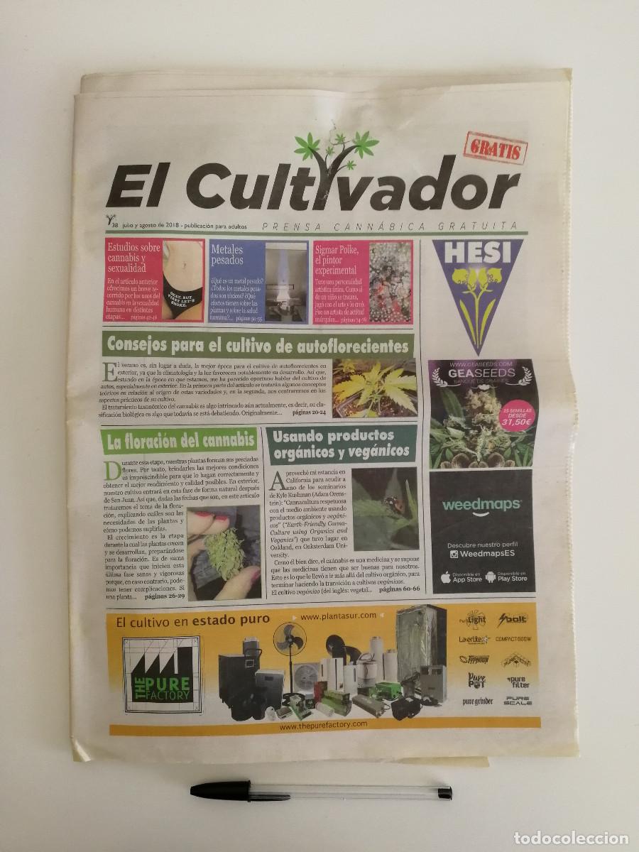 Coleccionismo de Revistas y Peri&oacute;dicos: PERIODICO - EL CULTIVADOR - PRENSA CANNABICA A&Ntilde;O 2018 - NUM. 38 - CANNABIS