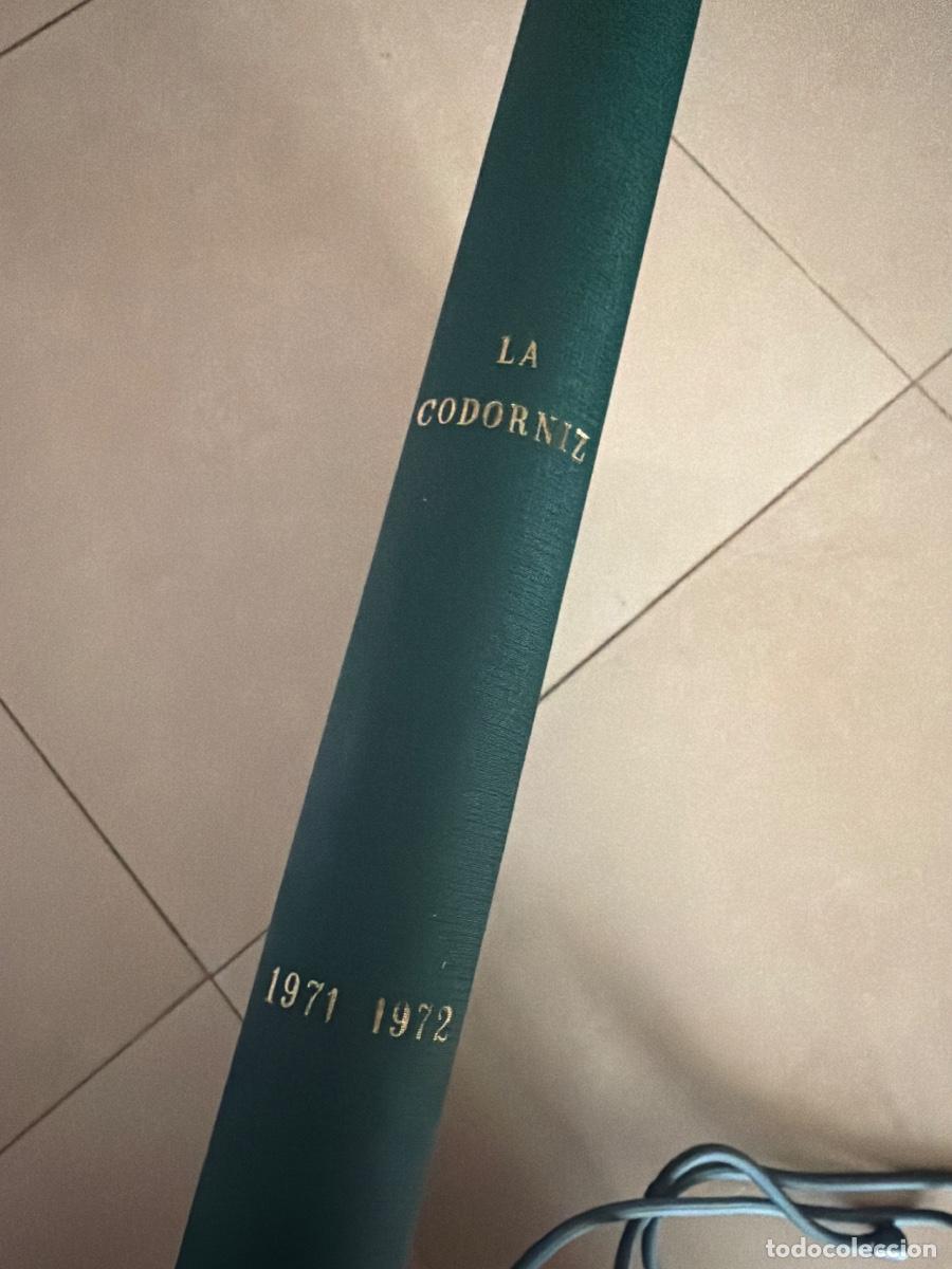 Coleccionismo de Revistas y Peri&oacute;dicos: Colecci&oacute;n La Codorniz