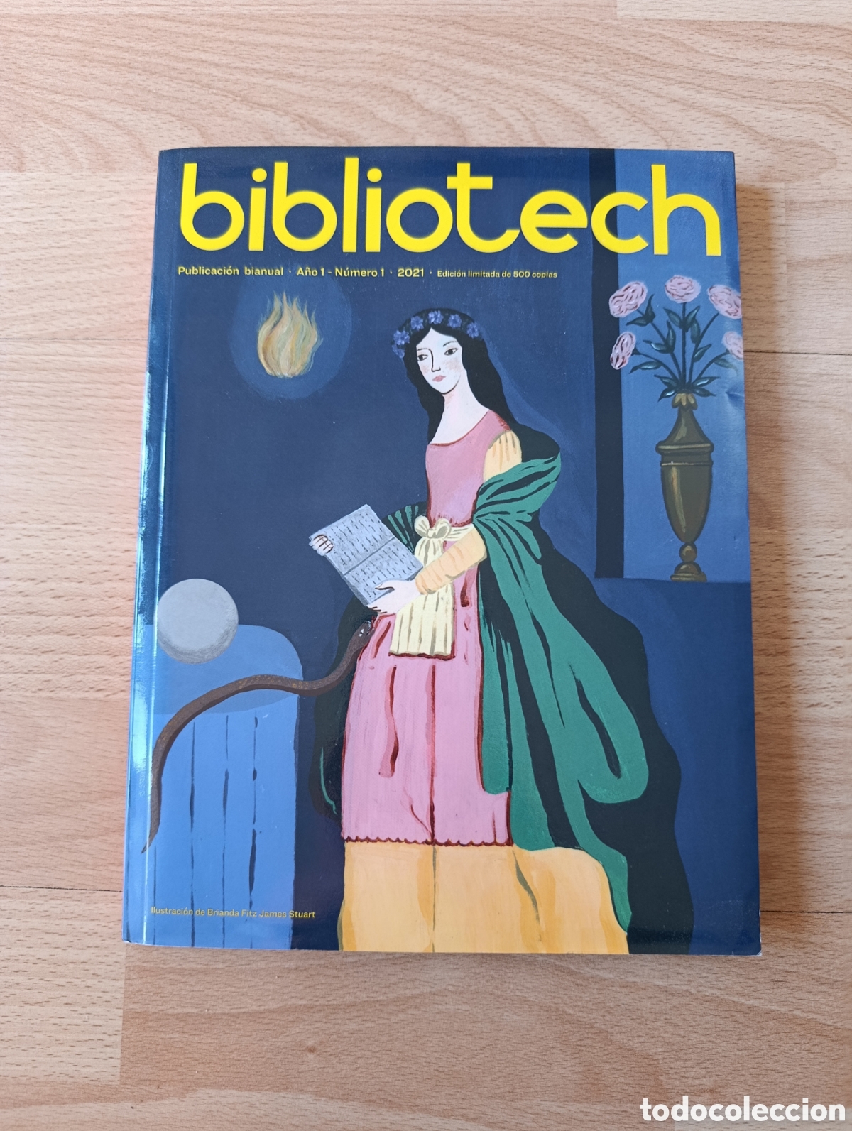 Collection Magazines and Newspapers: Bibliotech №1. A&ntilde;o 2021