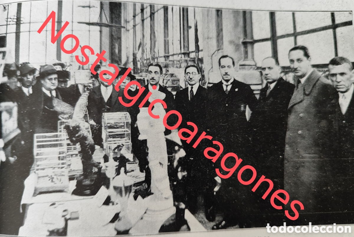 Colecionismo de Revistas e Jornais: Barcelona exposici&oacute;n pajaril ornitolog&iacute;a foto revista princ siglo XX 192B