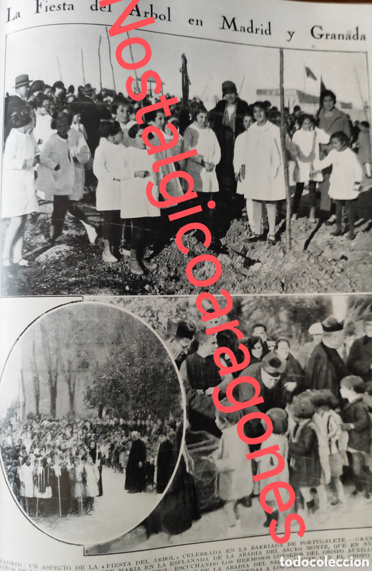 Coleccionismo de Revistas y Peri&oacute;dicos: Fiesta &aacute;rbol Madrid barriada Portugalete y Granada foto revista princ siglo XX 192B