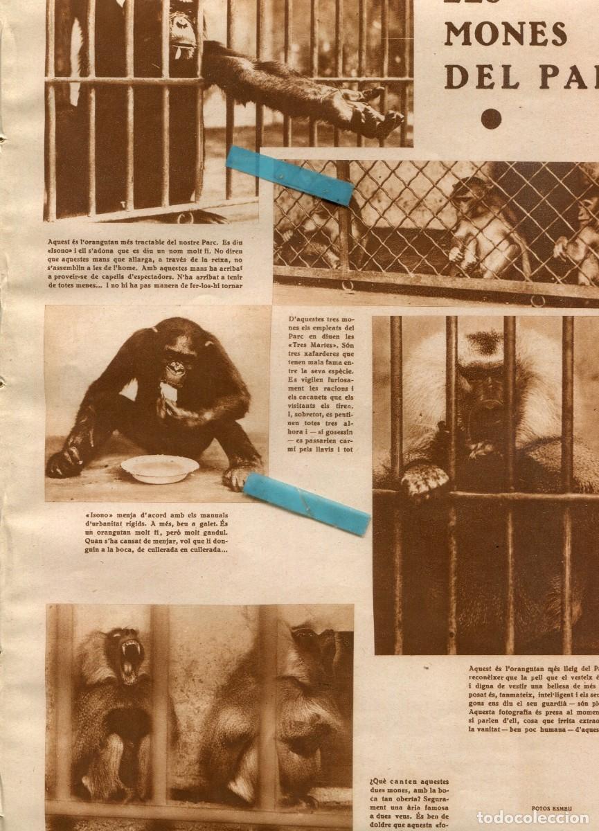 Coleccionismo de Revistas y Peri&oacute;dicos: REVISTA ANY 1930 LES MONES DEL ZOO ZOOLOGIC DE BARCELONA EL BANC DE CATALUNYA BLANCA NEGRI LAYA FILM