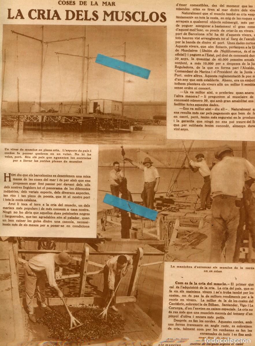 Coleccionismo de Revistas y Peri&oacute;dicos: REVISTA A&Ntilde;O 1930 CRIA DE MEJILLONES MUSCLUS EN BARCELONA ENCANTS VELLS CELIA GAMEZ PANELLETS