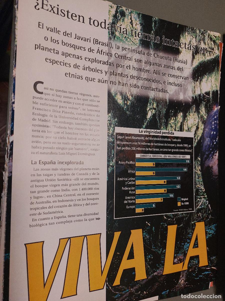 Coleccionismo de Revistas y Peri&oacute;dicos: EXISTEN TIERRAS V&Iacute;RGENES EN LA TIERRA? 5 P&Aacute;GINAS ART&Iacute;CULO EXTRAIDO DE REVISTA. GRAPA. COMPLETO