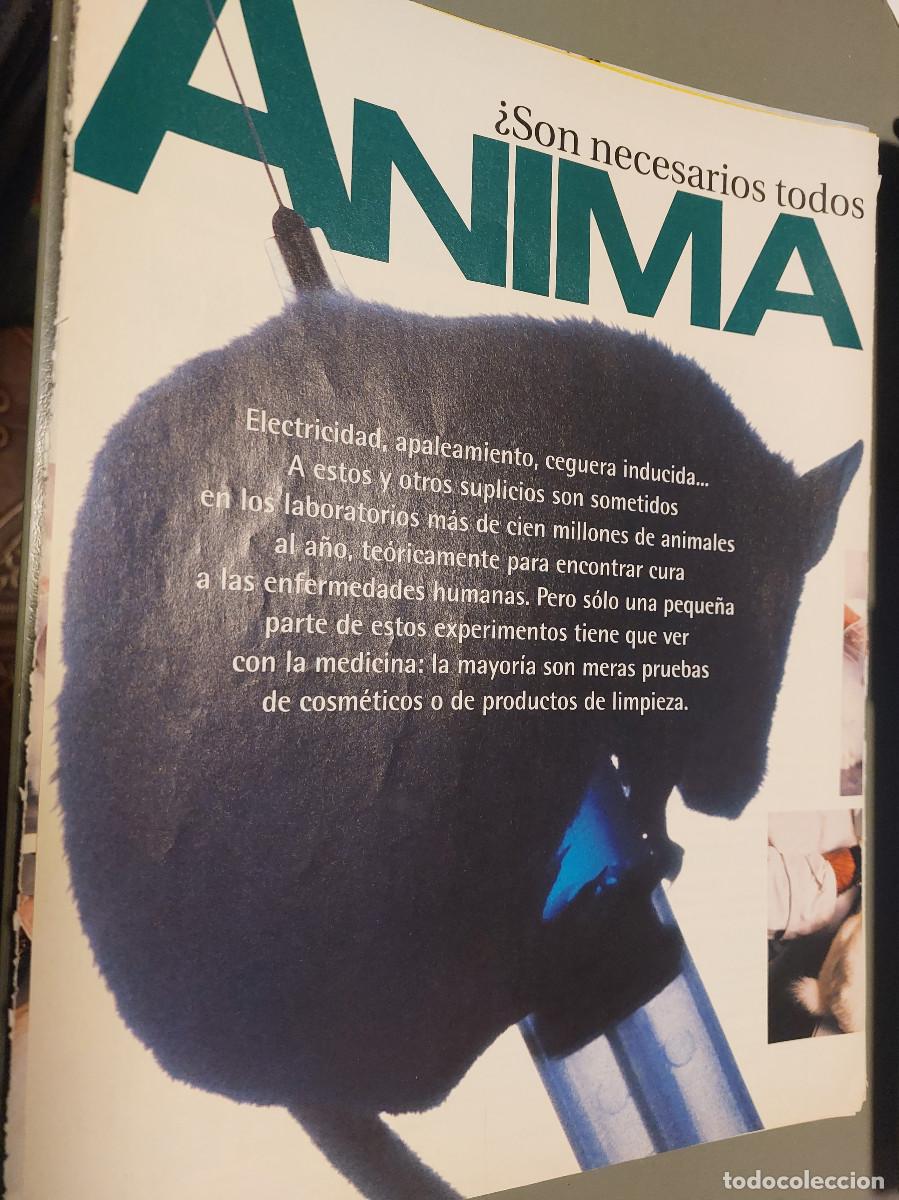 Coleccionismo de Revistas y Peri&oacute;dicos: &iquest;EXPERIMENTAR CON ANIMALES? 4 P&Aacute;GINAS ART&Iacute;CULO EXTRAIDO DE REVISTA. GRAPA. COMPLETO