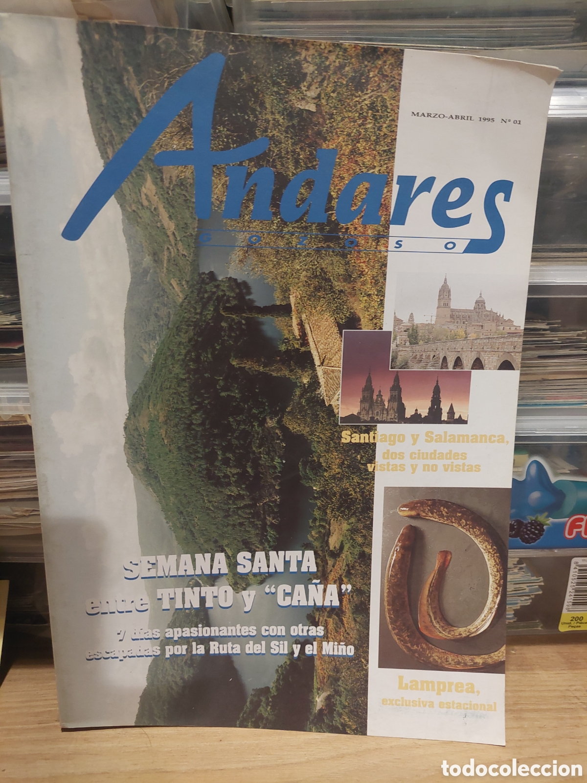 Coleccionismo de Revistas y Peri&oacute;dicos: LUGO ANCARES 1995 N 1 SEMANA SANTA SANTIAGO Y SALAMANCA, LAMPREA SUMARIO