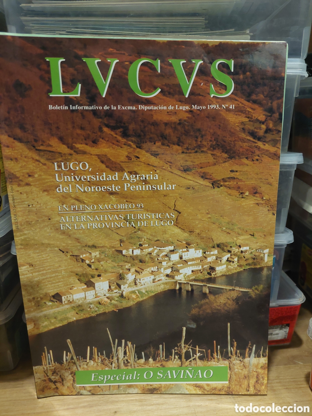 Coleccionismo de Revistas y Peri&oacute;dicos: LUGO REVISTA LVCVS 41 UNIVERSIDAD AGRARIA,XACOBEO 93 PLENO O SAVI&Ntilde;AO