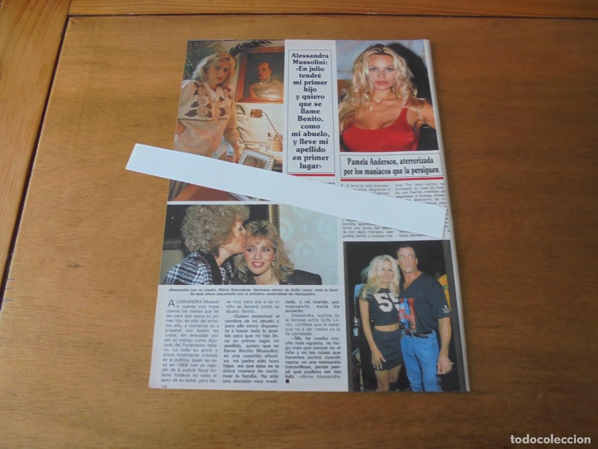 Coleccionismo de Revistas y Peri&oacute;dicos: CLIPPING 1994: PAMELA ANDERSON. ALESSANDRA MUSSOLINI. PAUL MCCARTNEY. LIZ TAYLOR. FRANK SINATRA. PET