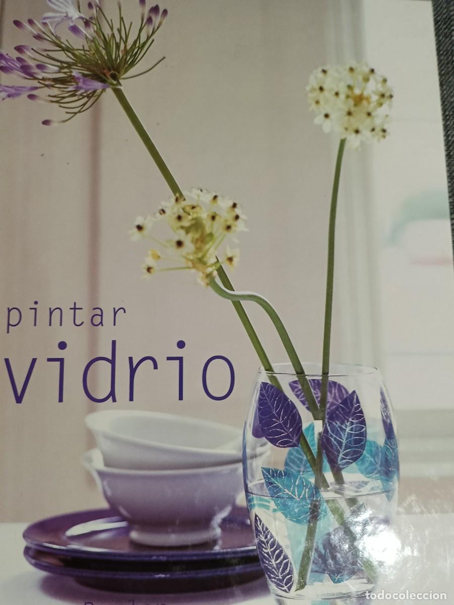 Collectionnisme de Revues et Journaux: PINTAR VIDRIO. Penny Boylan