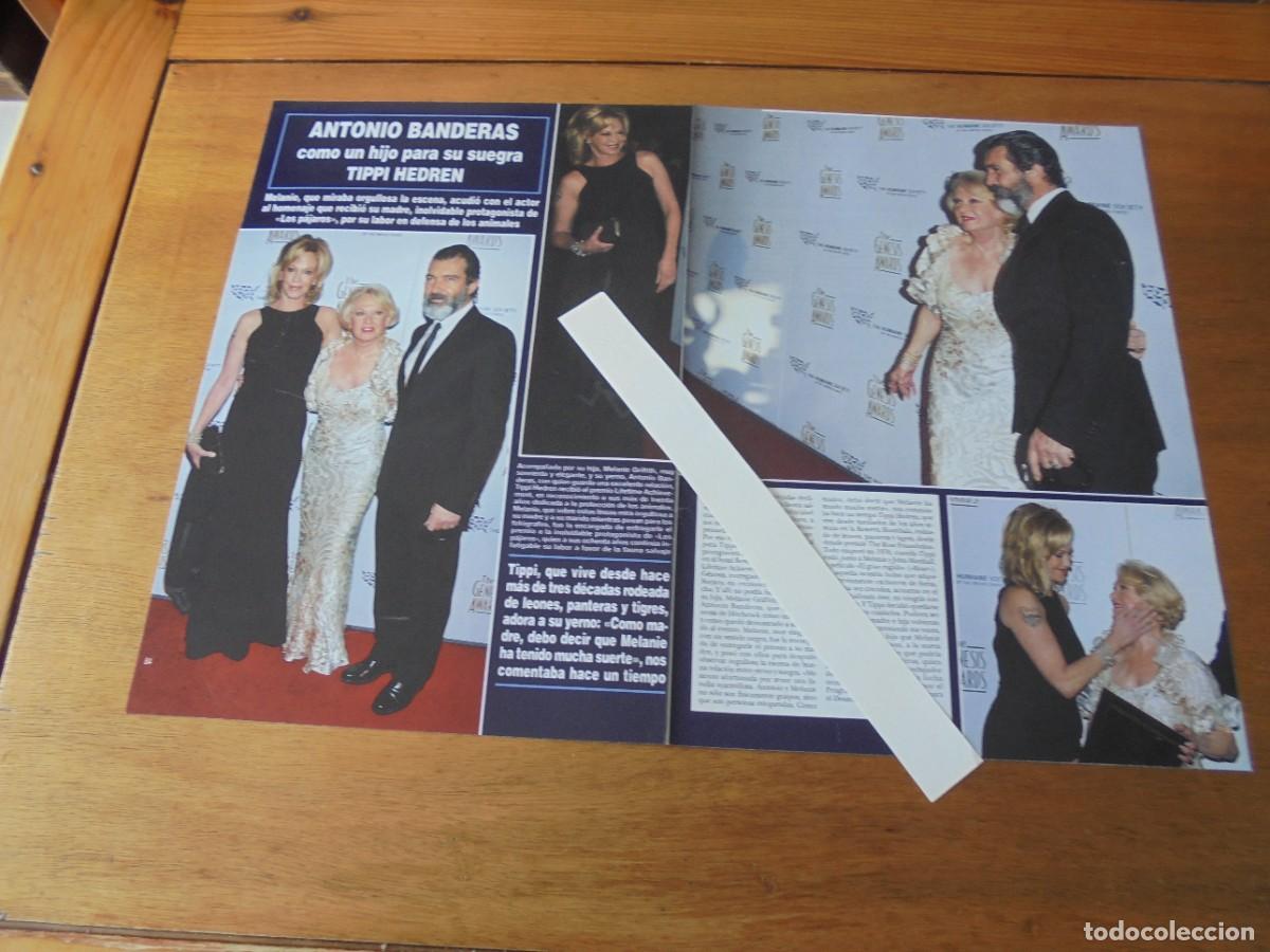 Collezionismo di Riviste e Giornali: RETAL 2010: ANTONIO BANDERAS. TIPPI HEDREN. PR&Iacute;NCIPES, FERR&Aacute;N ADRI&Aacute;, C. RUSCALLEDA. INFANTA. FROIL&Aacute;N