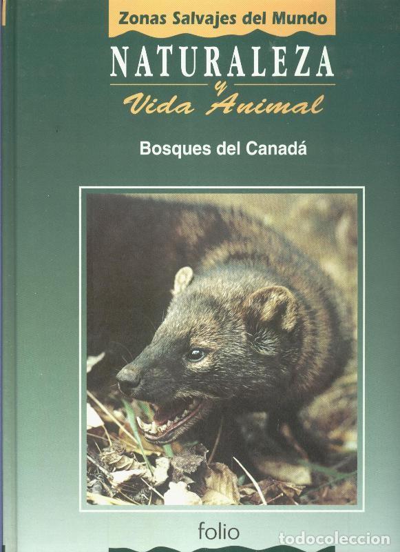 Collection Magazines and Newspapers: Naturaleza y vida animal: Bosques del canada tomo tercero - Varios