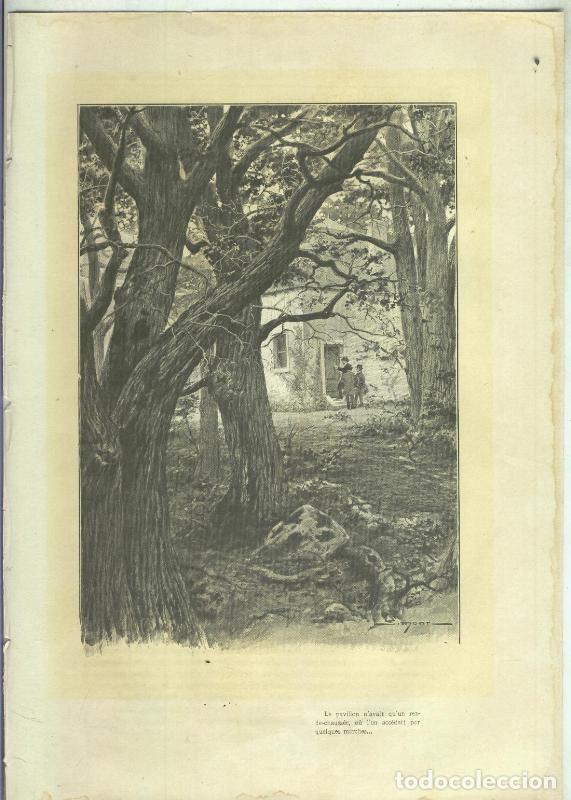 Collection Magazines and Newspapers: Lamina ilustrador Simonn numerada 65 - Varios