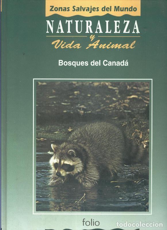 Colecionismo de Revistas e Jornais: Naturaleza y vida animal: Bosques del canada tomo primero - Varios