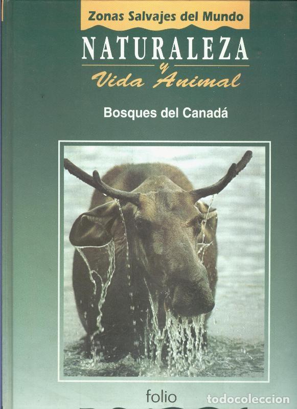 Collection Magazines and Newspapers: Naturaleza y vida animal: Bosques del canada tomo segundo - Varios