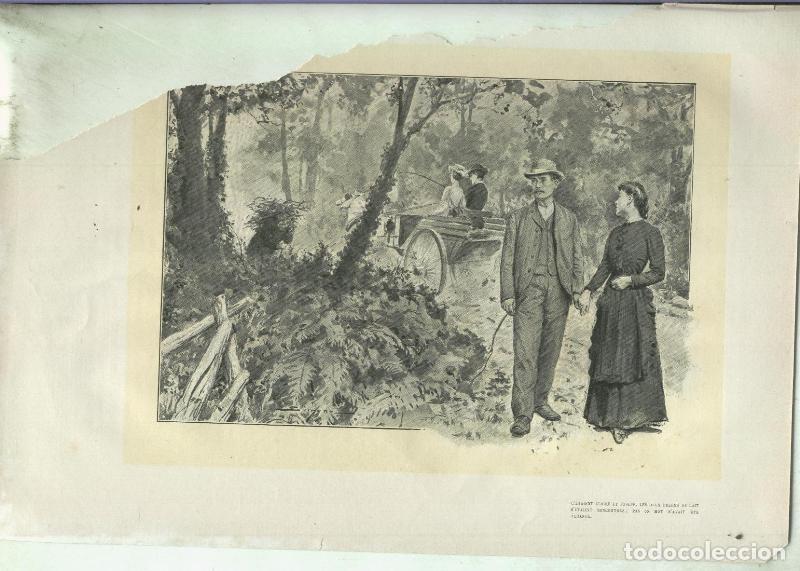 Collection Magazines and Newspapers: Lamina ilustrador Simmon numerada 31 - Varios