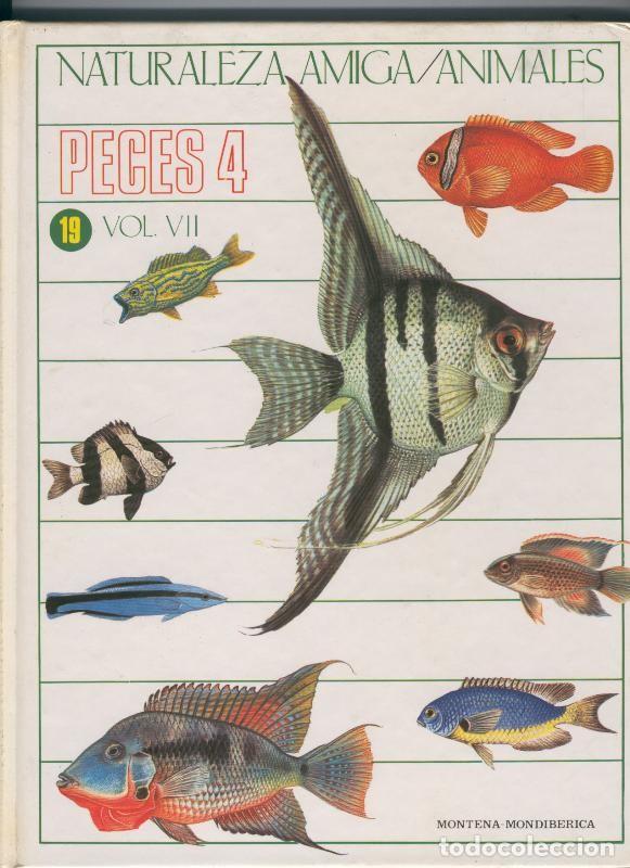 Coleccionismo de Revistas y Peri&oacute;dicos: Naturaleza Amiga/Animales volumen 19: Peces numero 4 - Varios