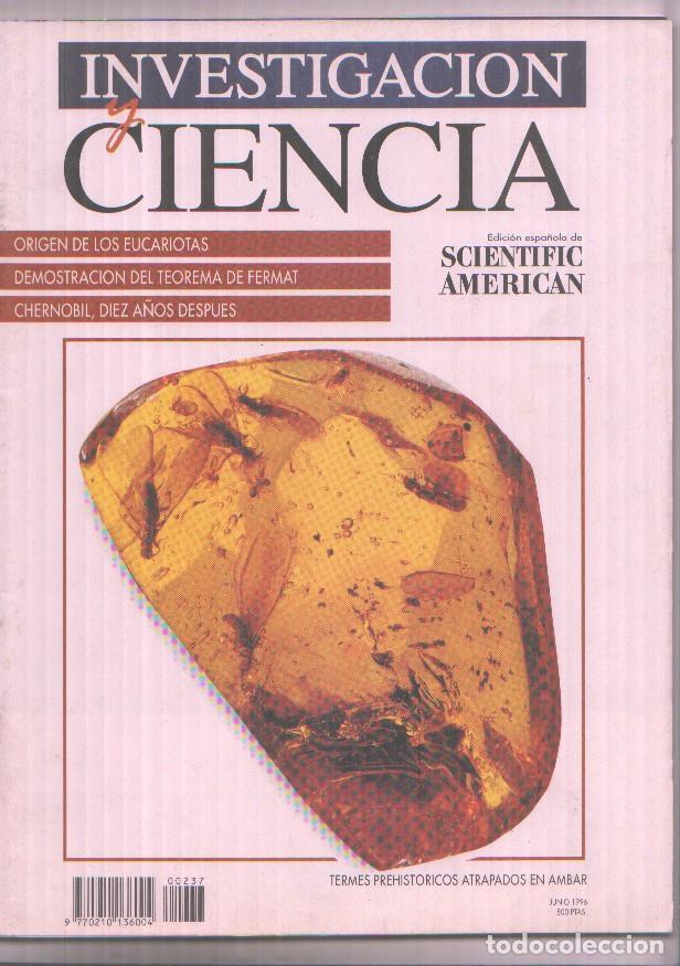 Coleccionismo de Revistas y Peri&oacute;dicos: Investigacion y Ciencia numero 237: Chernobil, diez a&ntilde;os despues - Varios