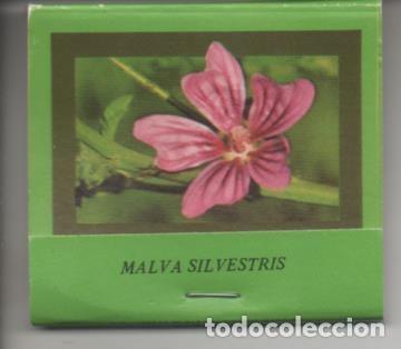 Coleccionismo de Revistas y Peri&oacute;dicos: Cajetin de Cerillas verde : Malva Silvestris - Varios
