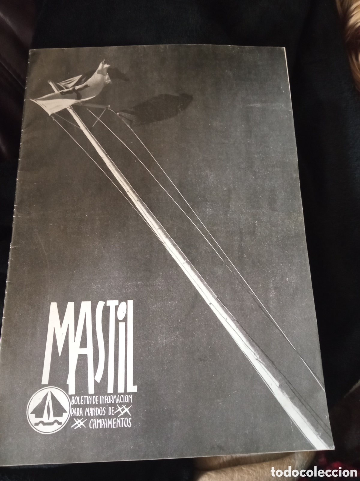 Coleccionismo de Revistas y Peri&oacute;dicos: M&aacute;stil Boletin de Informacion para mandos de Campamento, N 1de 1954