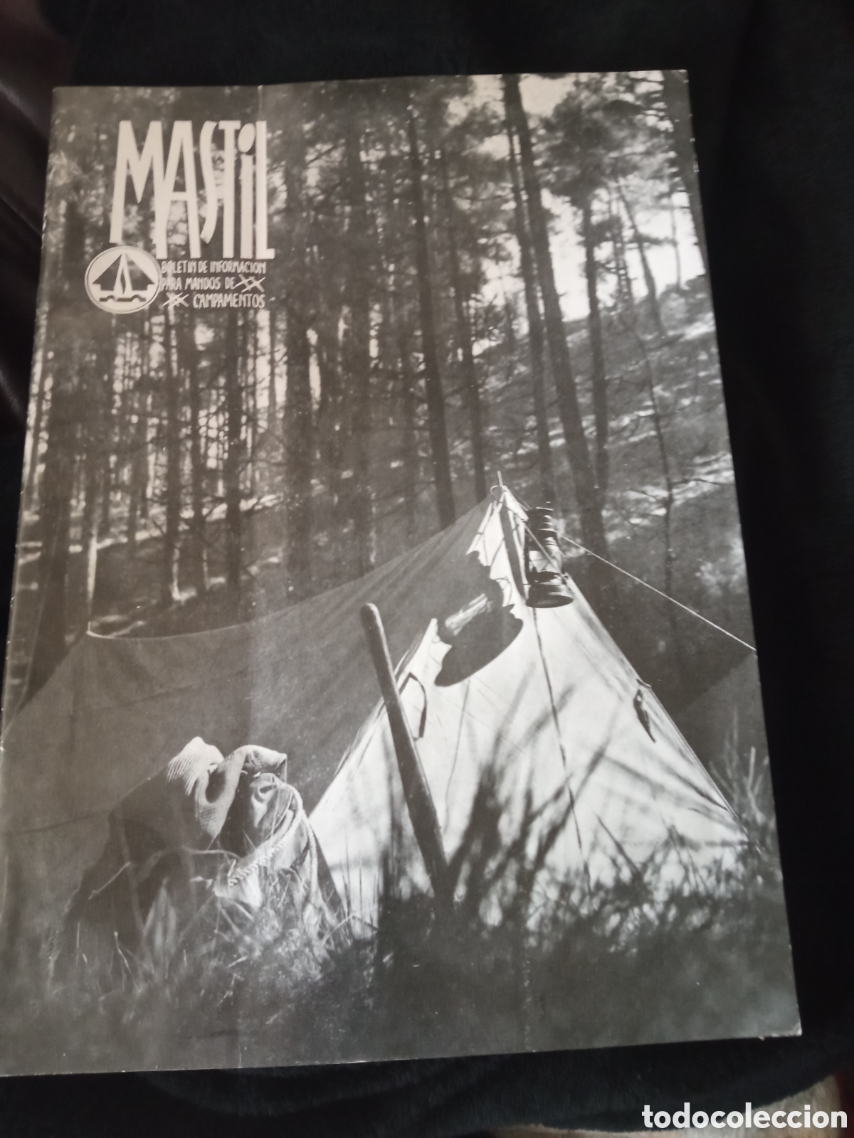 Coleccionismo de Revistas y Peri&oacute;dicos: M&aacute;stil, Boletin de Informacion para mandos de Campamento, de Julio de 1961