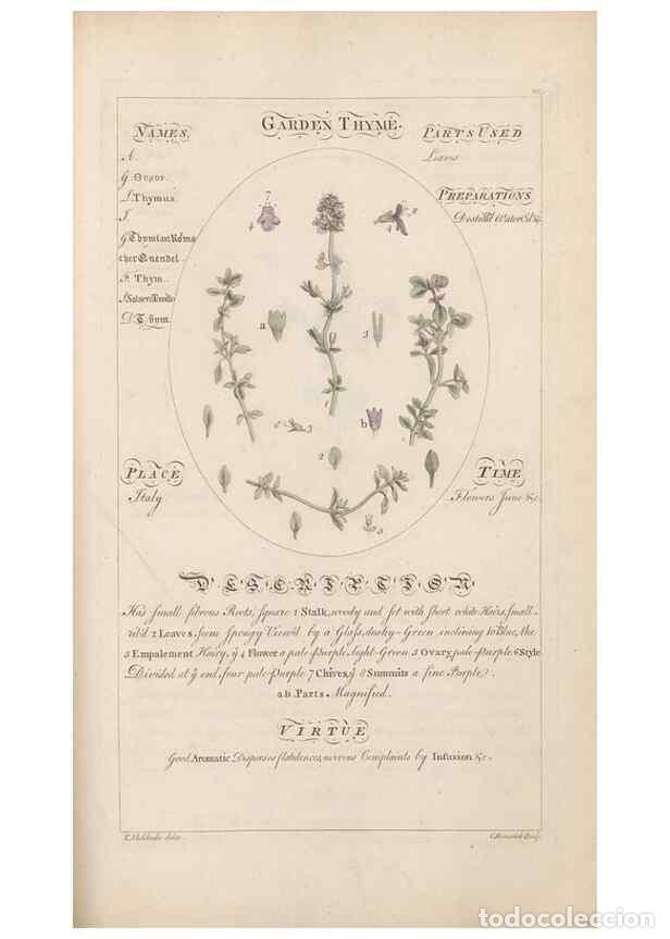 Sammeln von Zeitschriften und Zeitungen: Reproducci&oacute;n/Reproduction 49787544018: Botanicum medicinale :. London :Printed for J. Millan, opposi