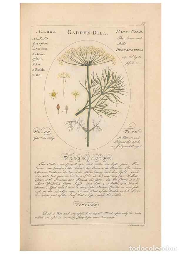 Coleccionismo de Revistas y Peri&oacute;dicos: Reproducci&oacute;n/Reproduction 49788070471: Botanicum medicinale :. London :Printed for J. Millan, opposi