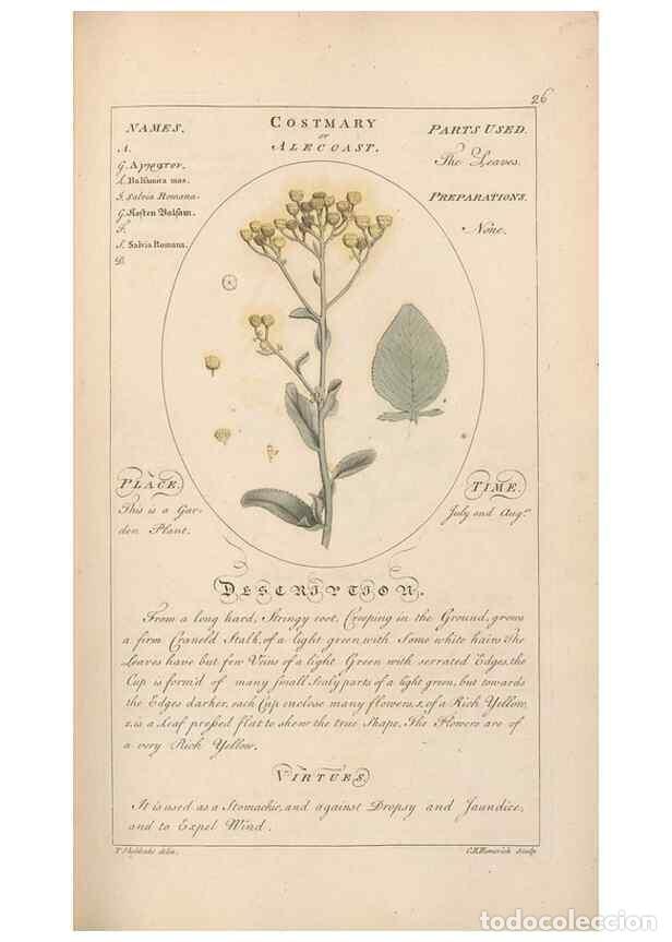 Sammeln von Zeitschriften und Zeitungen: Reproducci&oacute;n/Reproduction 49788068946: Botanicum medicinale :. London :Printed for J. Millan, opposi