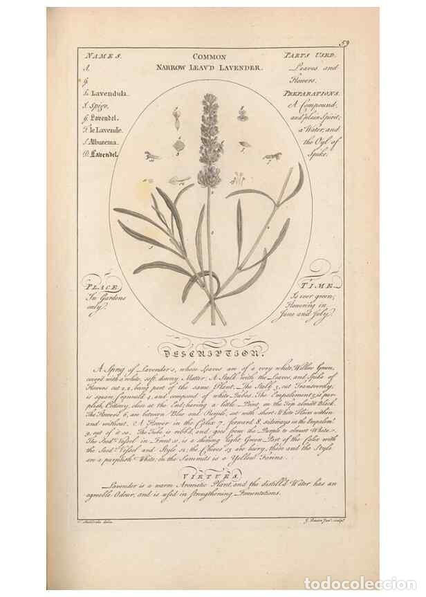 Coleccionismo de Revistas y Peri&oacute;dicos: Reproducci&oacute;n/Reproduction 49788075661: Botanicum medicinale :. London :Printed for J. Millan, opposi